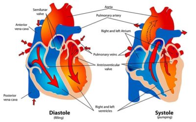 Riesgo Cardiovascular- Entérate