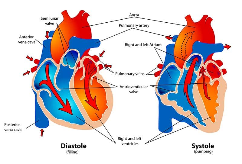 Riesgo Cardiovascular- Entérate