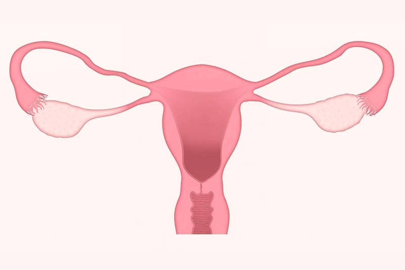 ATROFIA VAGINAL